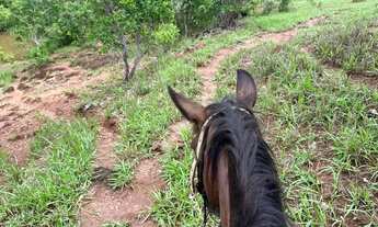 Imagem 4: Sitio proximo de caldas novas 13,5 alqueires rica em água