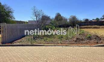 Imagem 7: Rua Alameda dos Ipês