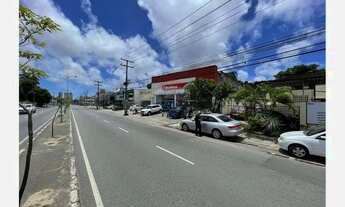 Imagem 7: Imóvel comercial Barros Reis 650m²