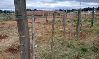 Imagem 3: Terreno Bom fim Guaíba