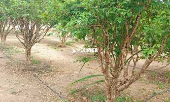 Imagem 6: Chácara 5.000 mts² em condomínio na Região da Fazenda Vargem Bonita, Bela Vista de Goiás