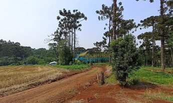 Imagem 12: Sítio à venda, 447700 m² por R$ 8.500.000,00 - São João Doeste - Cascavel/PR