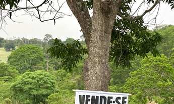 Imagem 5: Vende se lote para chácara em Goiânia de 1000 metros apenas $75mil