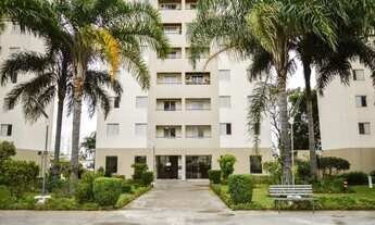 Imagem 4: Lindo Apartamento Padrão para Alugar no Bairro Continental em Osasco