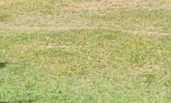 Imagem 7: CASA / CHÁCARA PARA VENDA NA CIDADE DE VALINHOS/SP