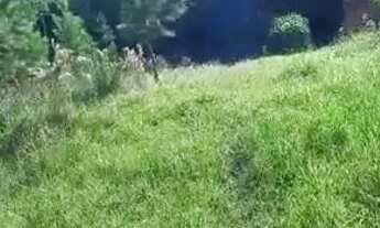 Imagem 7: Lote em Rua Guarani - Centenário - Sapiranga/RS