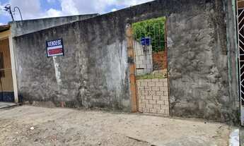 Imagem 5: Vendo Terrreno no Rosa Elze com Escritura