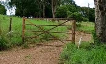 Imagem 2: Sítio a venda Chácara com venda por R$350.000