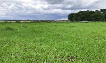 Imagem: Fazendinha Plana