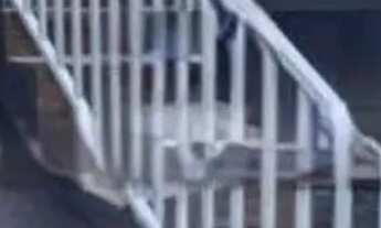 Imagem 3: Casa em Rua Três Pedras - Vila Alpina - São Paulo/SP