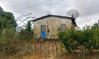 Imagem: SITIO - ORICURI ATALAIA - AL