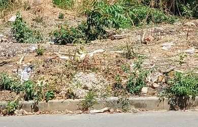 Imagem 2: Terreno 800 mts Jaraguá