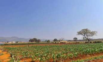 Imagem 2: Chácara em local sossegado