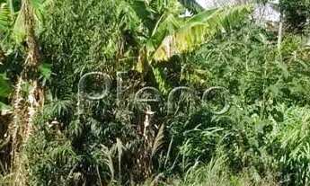 Imagem 6: Terreno à venda em Campinas, Chácara Primavera, com 1000 m²