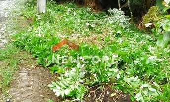 Imagem 7: Lote em Rua 3 do Alpes - Alpes - São Francisco de Paula/RS