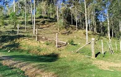 Imagem 4: Imóvel para venda tem 190000 metros quadrados com 5 quartos em Matulão - Tijucas do Sul