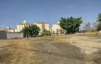 Imagem 5: Área para venda no bairro Jardim dos Oliveiras na cidade de Paulínia