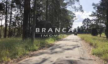 Imagem: Terreno Em Aldeia Da Serra Vista Panoramica