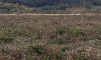 Imagem 6: Fazenda 2.195 Hectares