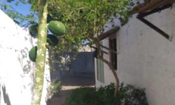 Imagem 4: Vendo casa com 3 quartos e um excelente quintal no Bairro do Janga