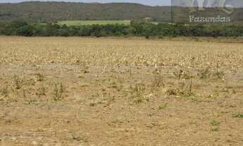 Imagem 2: Fazenda em Nobres - MT