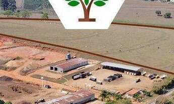 Imagem 1: Terreno à venda, 200 m² por R$ 78.000,00 - Centro - Borebi/SP