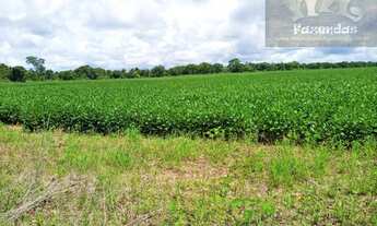 Imagem 4: Fazenda na Região de Alvorada -TO com 2.950 hec (605 alqs