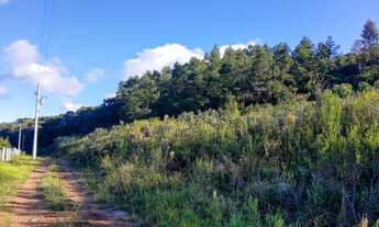 Imagem 5: CHÁCARA NA SERRA GAÚCHA-PARCELO DIRETO