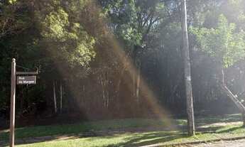 Imagem 4: Terreno Residencial à venda, Laje de Pedra, Canela - TE0071