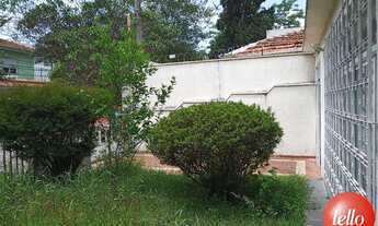 Imagem 3: São Paulo - Casa Padrão - Santo Amaro