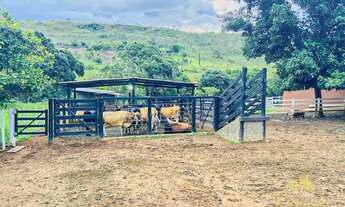 Imagem 2: Chácara para lazer