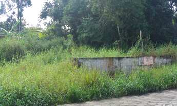 Imagem 2: Terreno em Peruíbe, com 250m², alto, rua com calçamento, iluminação publica, rede de água