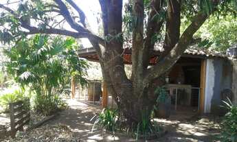 Imagem 3: Ribeirão Preto - Chácara - Bonfim Paulista