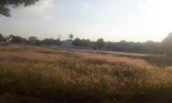 Imagem 7: Terreno - Bosque de Barão Geraldo - Campinas