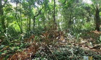 Imagem 7: Terreno coladinho no centro do Arraial Dajuda!