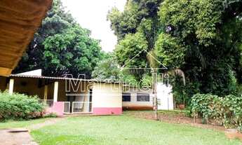 Imagem 3: Ribeirão Preto - Chácara - Piripau