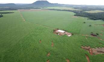 Imagem: Fazenda Premium 391 Alqueires Safra