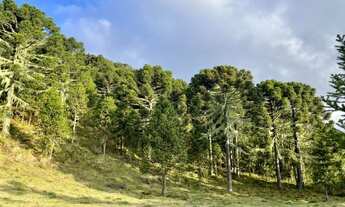 Imagem 5: Chácara a venda em Urubici-SC