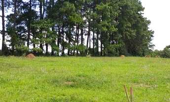 Imagem 2: EU TENHO O TERRENO PERFEITO PARA VOCÊ NA CIDADE DE IGARATÁ!