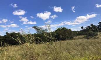 Imagem 2: Excelente fazenda em terra de cultura em 100 hectares