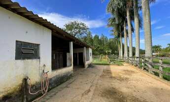 Imagem 3: Fazenda COM UMA ÓTIMA OPORTUNIDADE DE PREÇO PARA VOCE