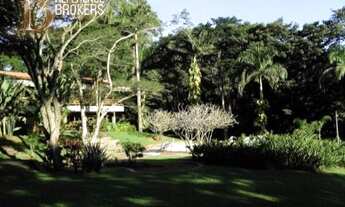 Imagem 2: CABREÚVA - RURAL - BANANAL