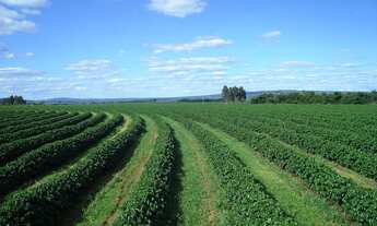 Imagem 3: Crédito Imobiliário de R$ 100.000 a R$ 10.000.000