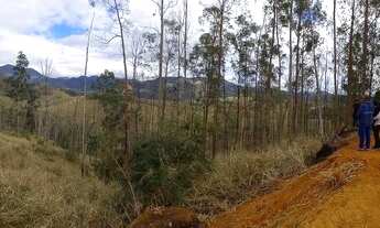 Imagem 5: Sítio em Timbuí