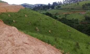 Imagem 7: Você que gosta de plantação