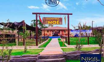 Imagem 5: Chácara com 1 dormitório à venda, 3743 m² por R$ 362.439,69 - Jardim Decolores - Trindade