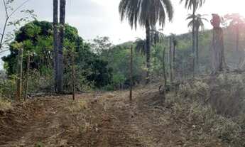 Imagem 2: Serra Cipó 2ha /Moeda 600mts