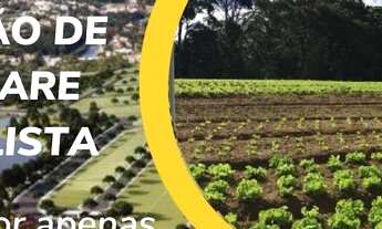 Imagem 1: Investimento certo aqui