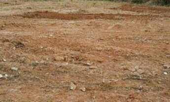 Imagem 5: São Paulo - Terreno Padrão - Ipiranga