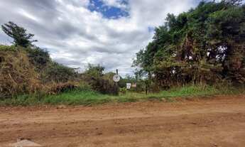 Imagem: Chácara com 2 dormitórios à venda, 20000